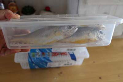프레쉬 생선 캐니스터 / 생선 냉장고 보관용기
