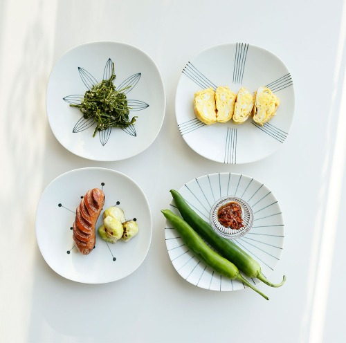 일본 에가와리 접시 4style 플레이트 반찬 디저트 그릇